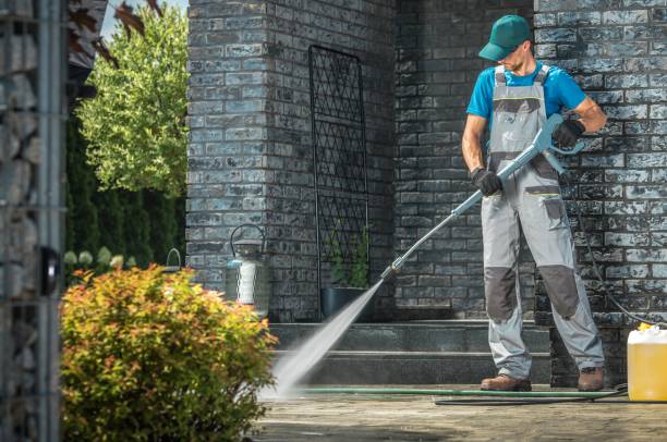 Best Solar Panel Cleaning  in Murphy, TX